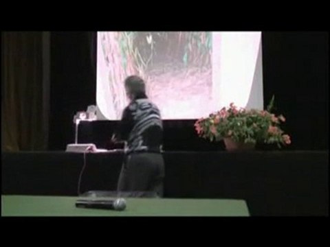 Vers de nouvelles techniques d'assolement+semis direct (3/7)