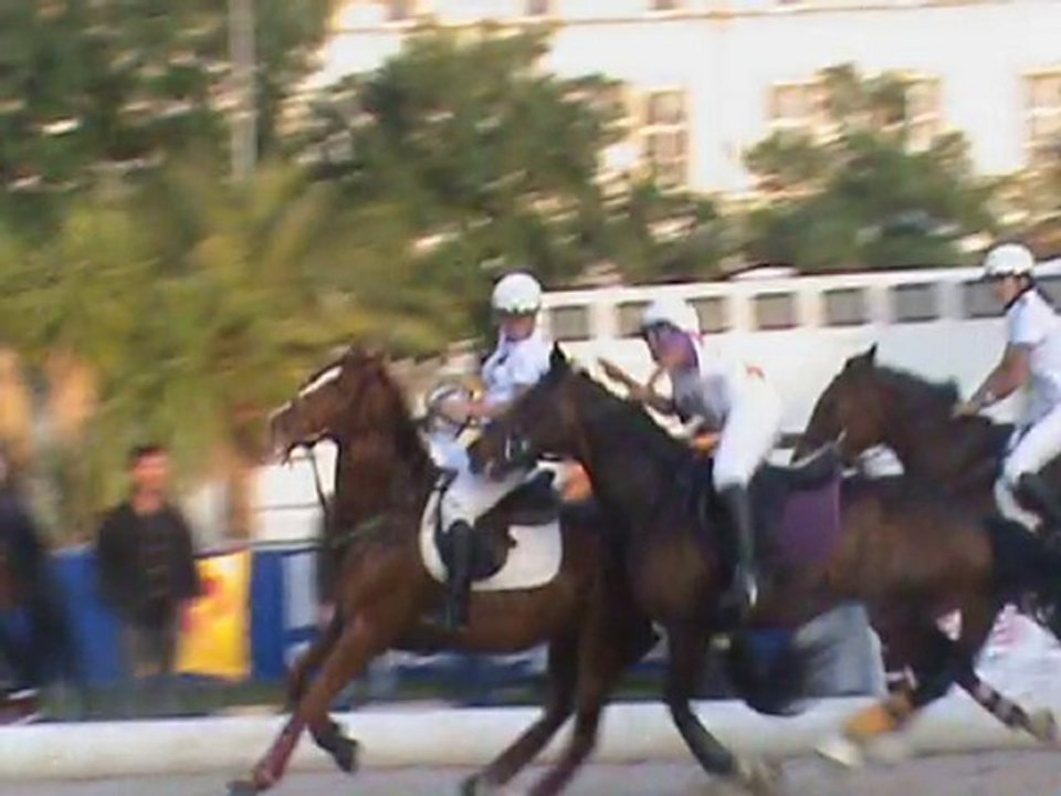 Horse Ball 2010