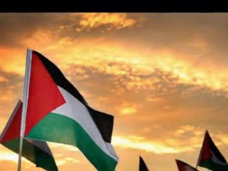 wavin flag,chant pour gaza
