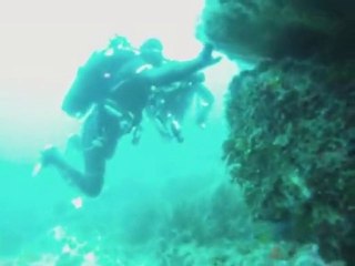 plongée st mandrier france