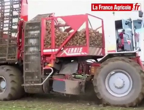 Arrachages des betteraves : l'intégrale Moreau Xerris