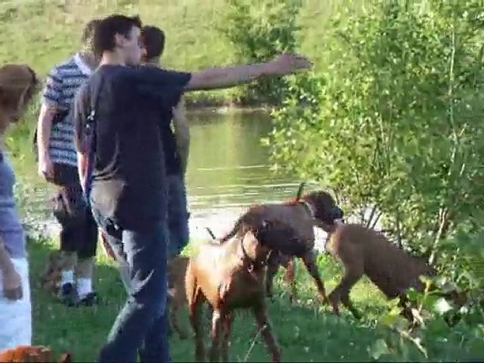 video 2 zambezi