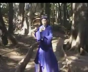 Exercicio Wudang San Feng T'ai Chi Goiania monge Xin Shan