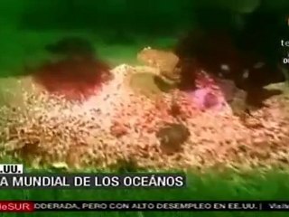 Día mundial de los océanos