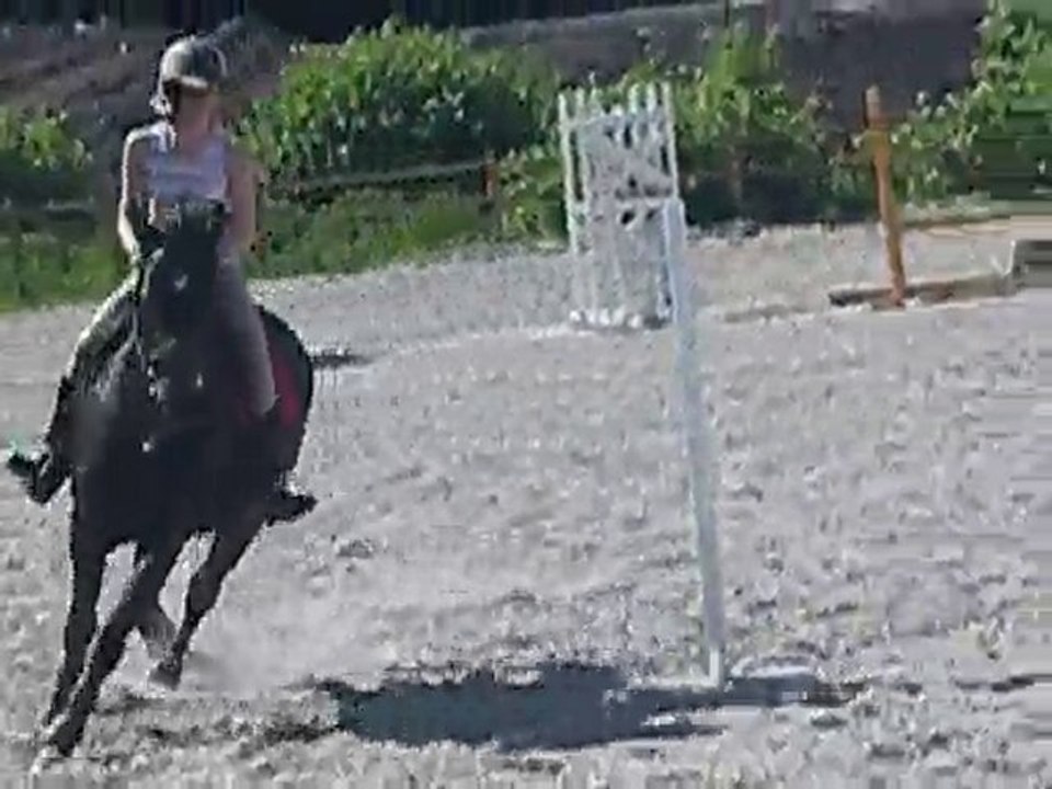 IMGP0522