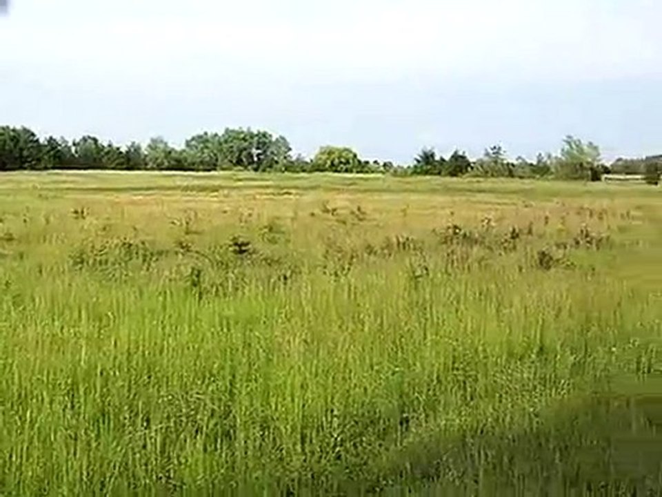 07 06 2010 003
