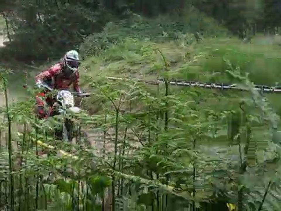 Méo à scaer sp3