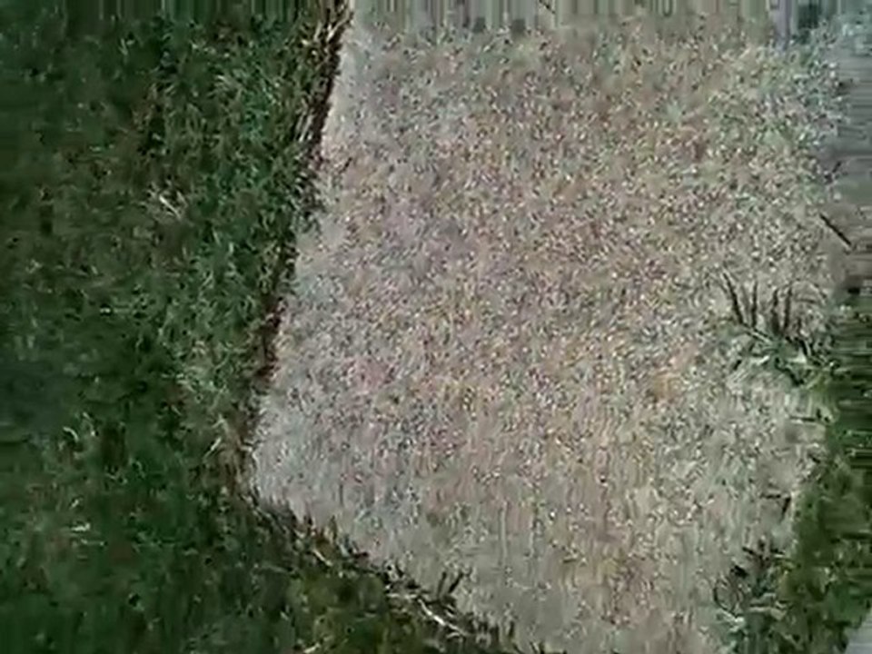 2010 juin 5 anniversaire Seb Merloune à Guilherand 35 ans