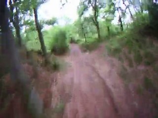 Dh.St léonard des bois