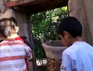 Arapçamız Can Çekişiyor