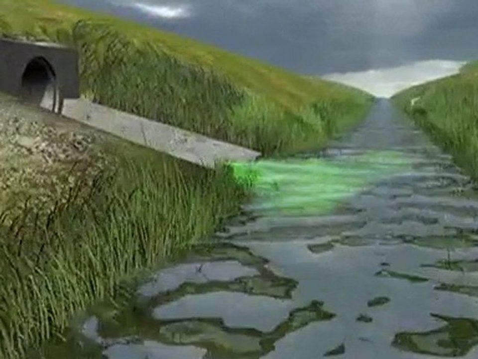 Broadcast Animation Studio NYC - TMBA