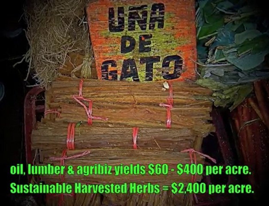 Green Entrepreneur #3, Why Amazon Herb Co. is the best!