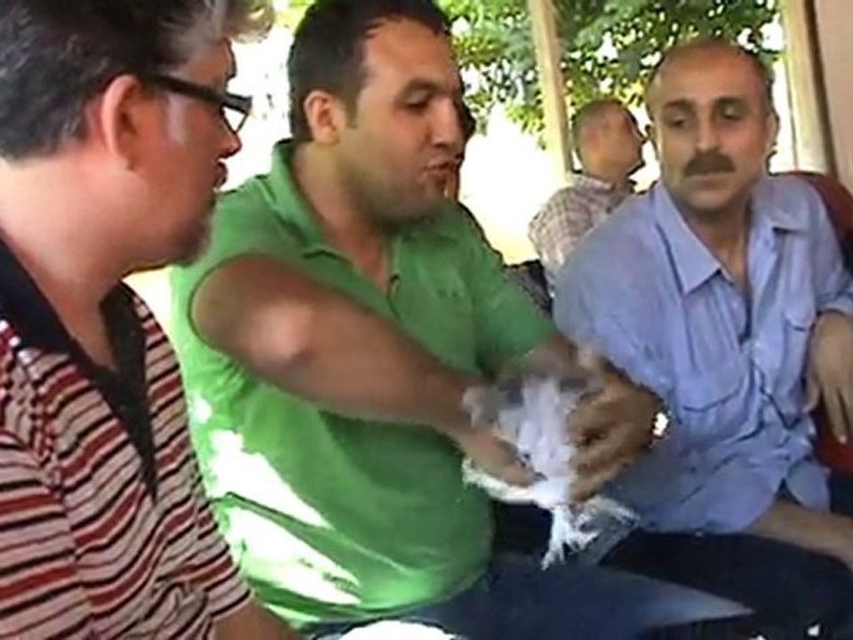 sebap 2010 yorumları