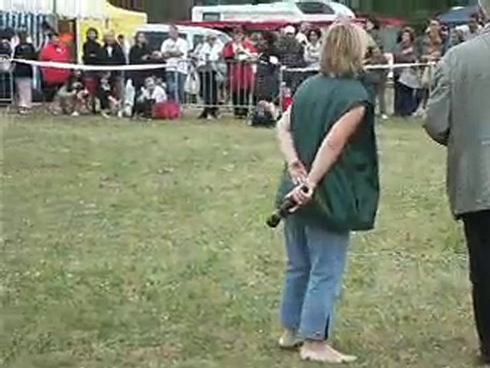 EMMINGWAY MEILLEUR PUPPY DE L'UNION