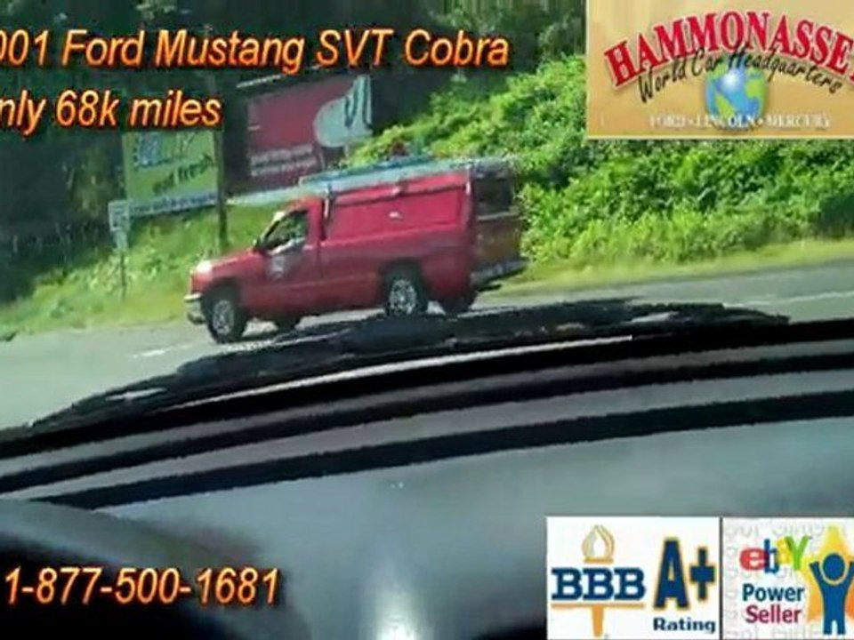 Used 2001 Ford Mustang SVT Cobra For Sale in CT