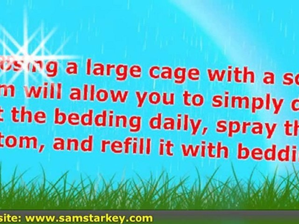 3 Tips To Help Select An Indoor Rabbit Hutch