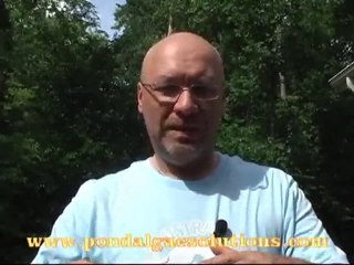 Why Buffering pH In Your Pond Is Important