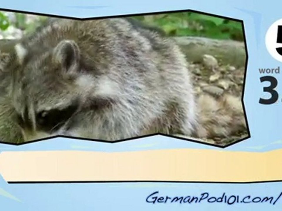 learn German-Learn with German Forest animals video