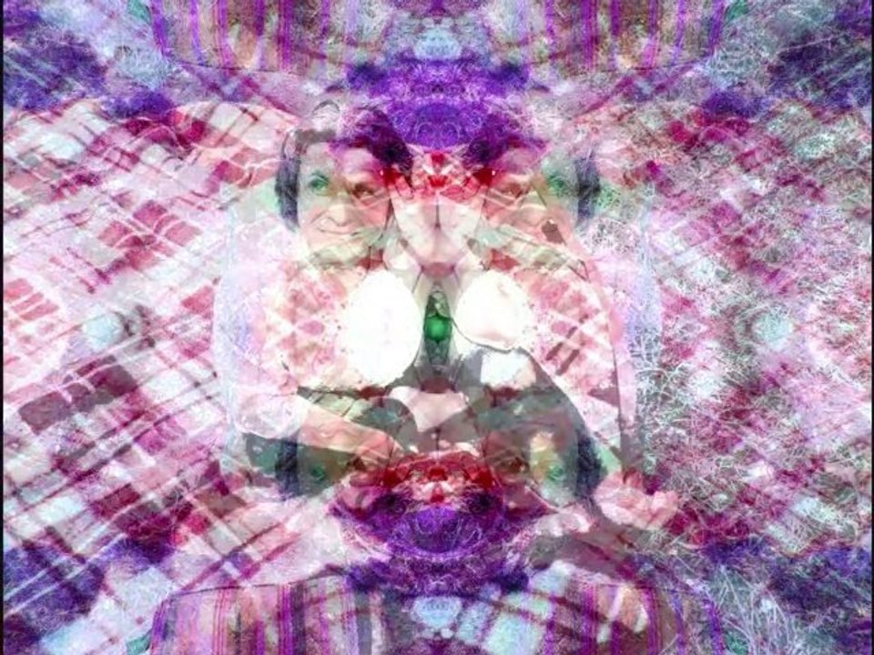 Félines mai 2010 chap1