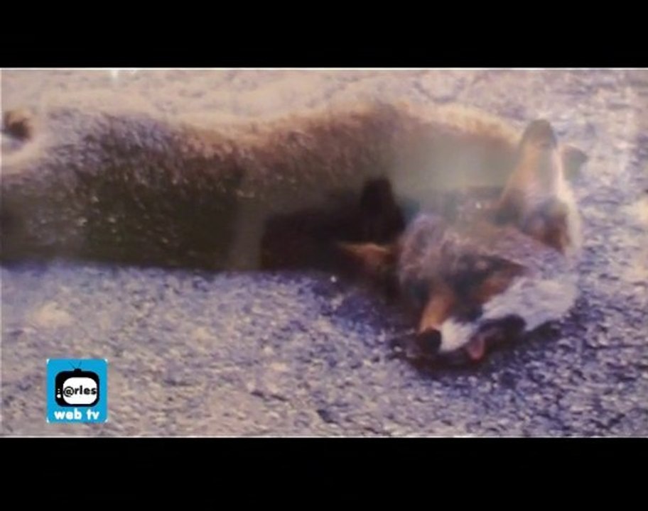 Retout sur Infos : Exposition d'art à la galerie La Vitrine