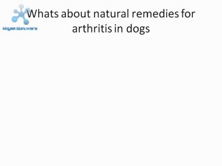 Articles that will help you to find a solution for arthritis