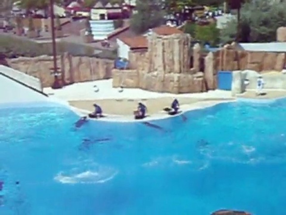 Arthur au parc Astérix : les dauphins_juin 2010
