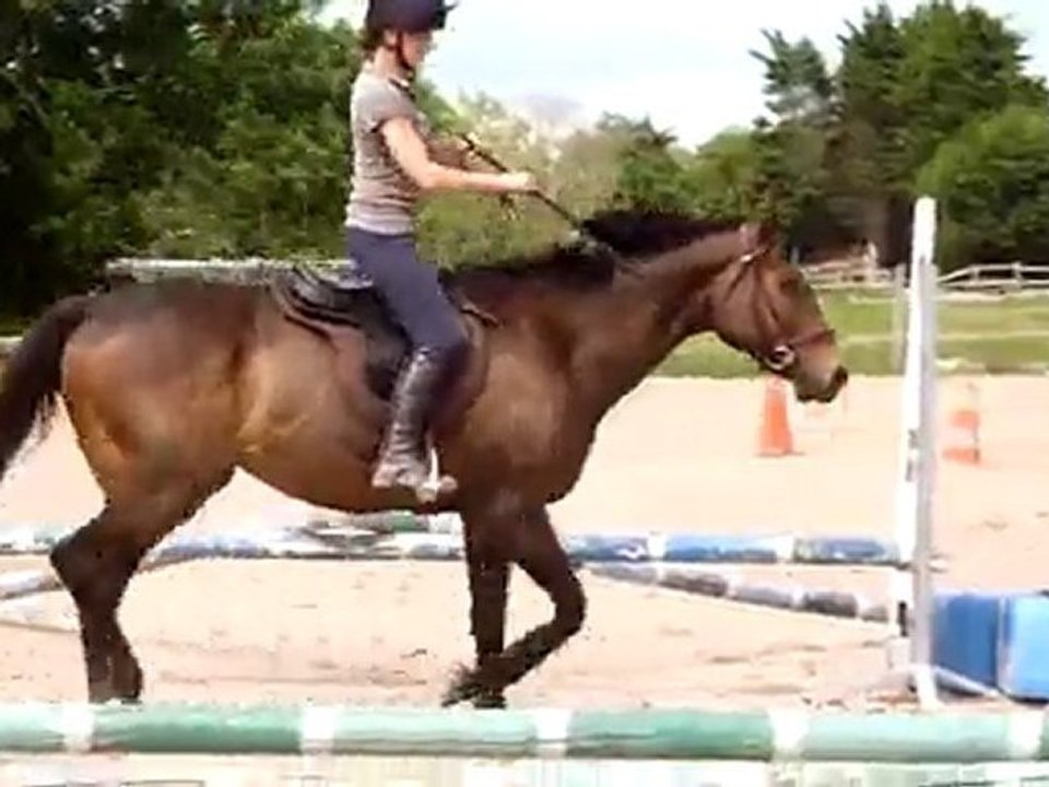 mardi 8 juin 2010 plat