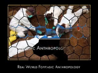 Forensic Anthropology