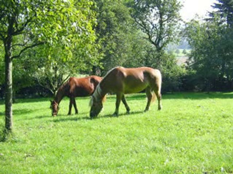 Max - Mellis Pflegeprojekt_100609