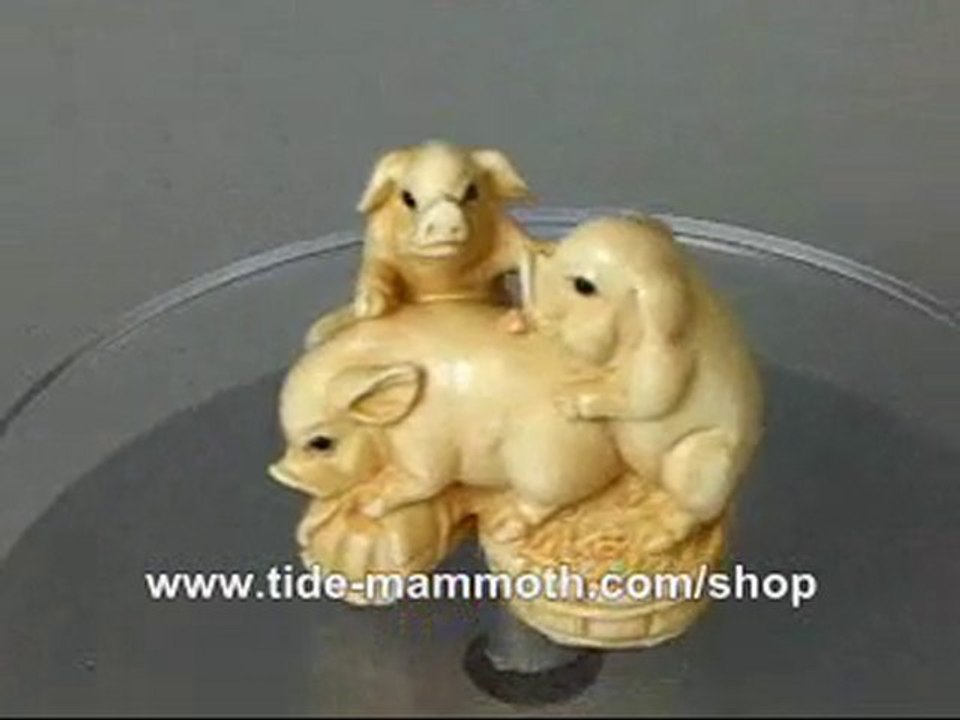 Mammoth Ivory Netsuke 3 PLAYING PIGS Carving N2295