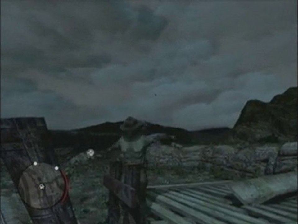 Un beau bug de Red Dead Redemption