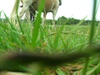 Travail avec Kiss Me , séance du 08.05.2010