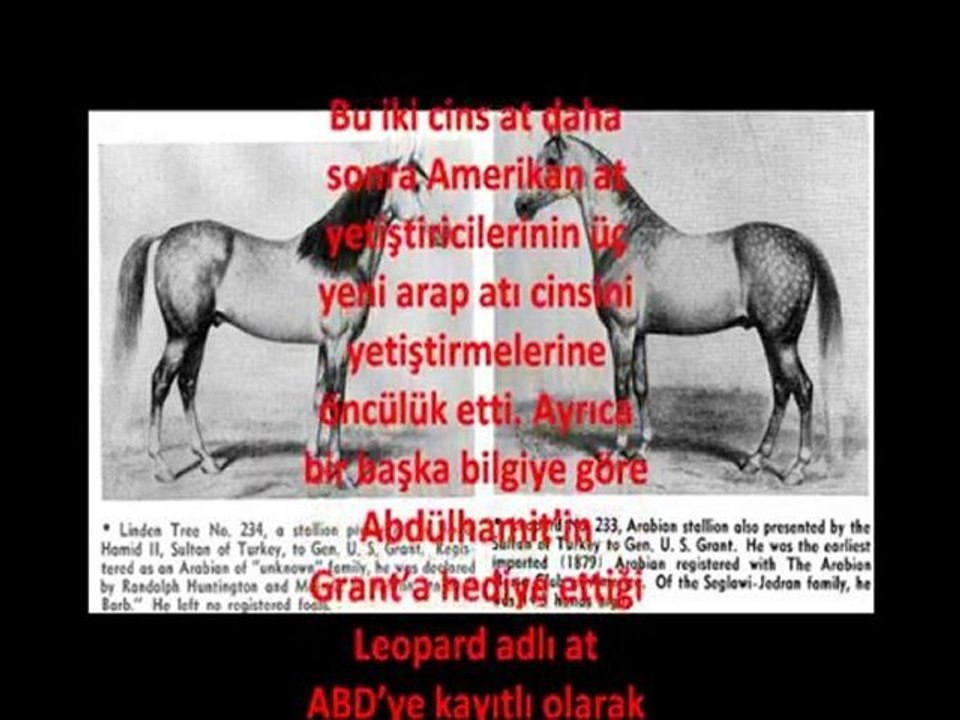 Sultan II.Abdulhamid Han ve Amerikan Başkanı