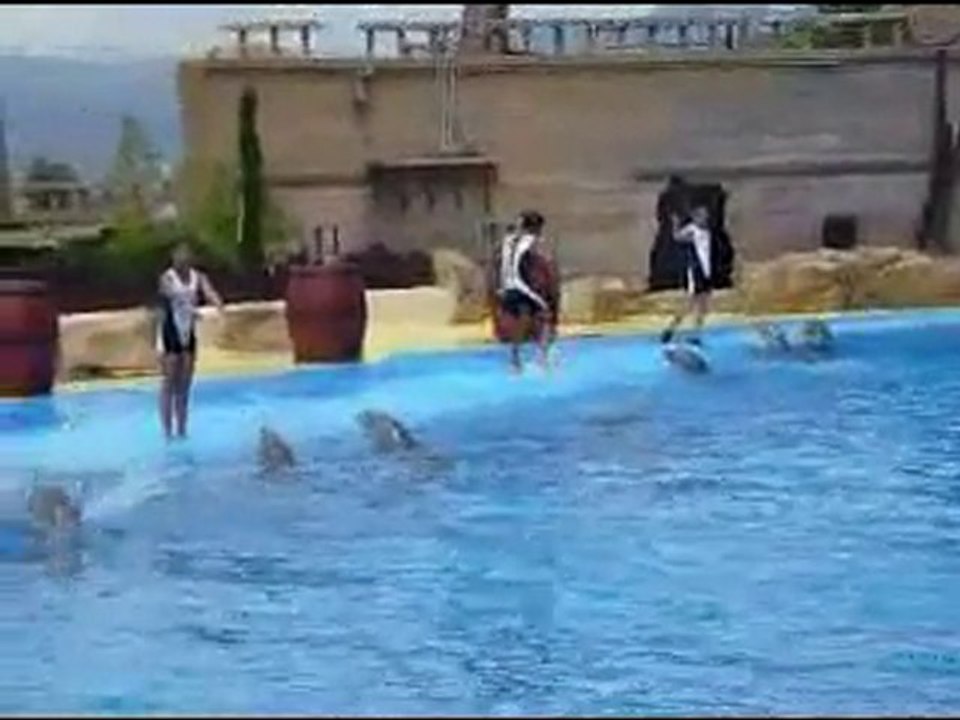 Delfinshow im Mundomar in Benidorm