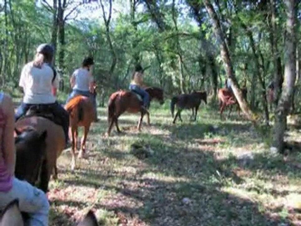 Balade à cheval dans les Causses