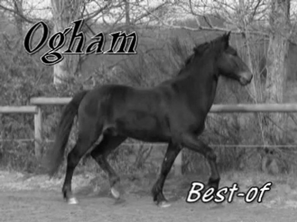 Best-of Ogham