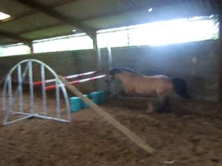 Juin 2010 Reflection saut n lib