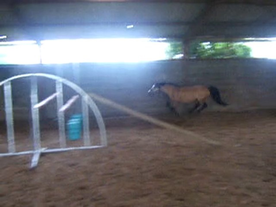 Juin 2010 Reflection saut n lib 2