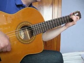 The Corrs : Little wing