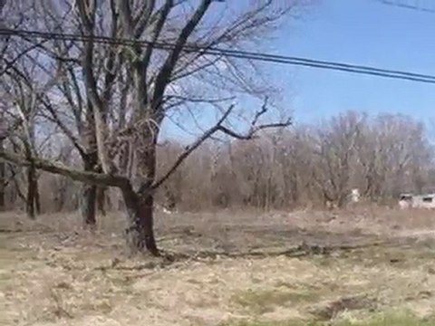 Homes for Sale - 15824 Paxton Ave - South Holland, IL 60473