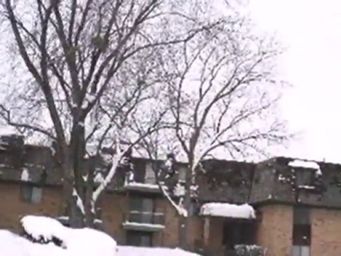 Homes for Sale - 8 Oak Creek Dr Apt 2802 - Buffalo Grove, IL