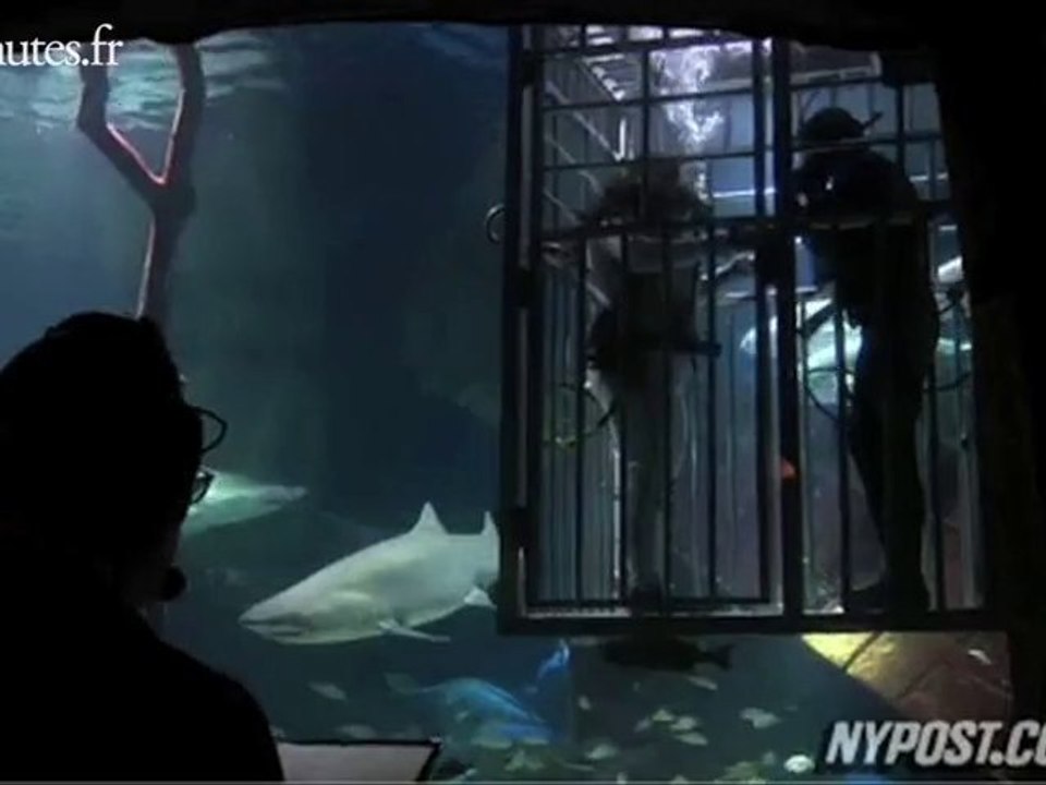 Un mariage... entre les requins