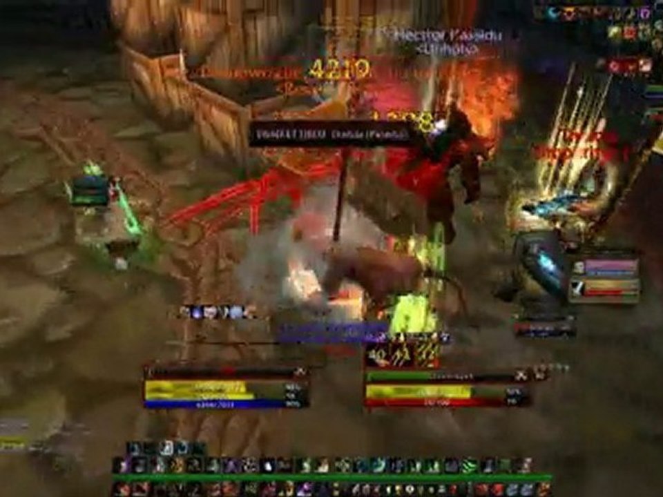 wow feral chaman 2vs2