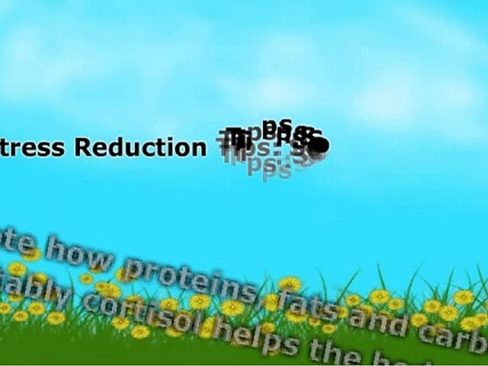 Reduce Your Stress Level And  Lose The Weight