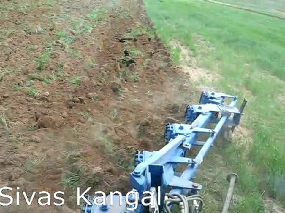 T6040 Elite Herg Kangalli84 ~ Anıl Kangal - Sivas Kangal