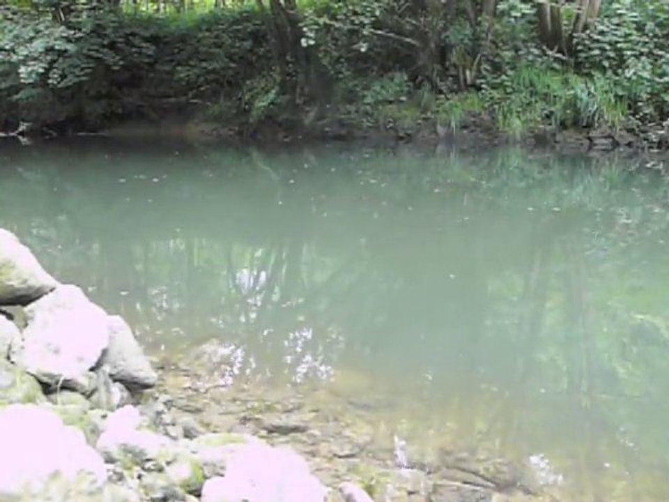 Big truite Nymphe a vue en Lorraine (Meuse) CLERGETBLOG