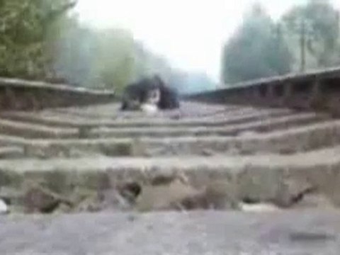 Kid Lays Down on Train Tracks