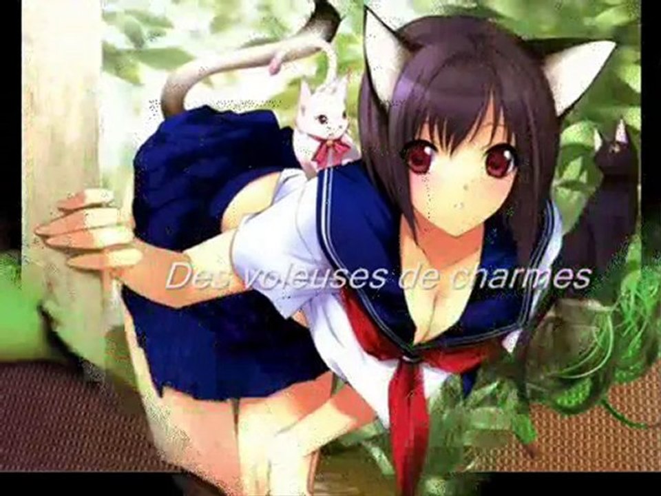 Teaser des Pirates de la Mer de Jade.wmv