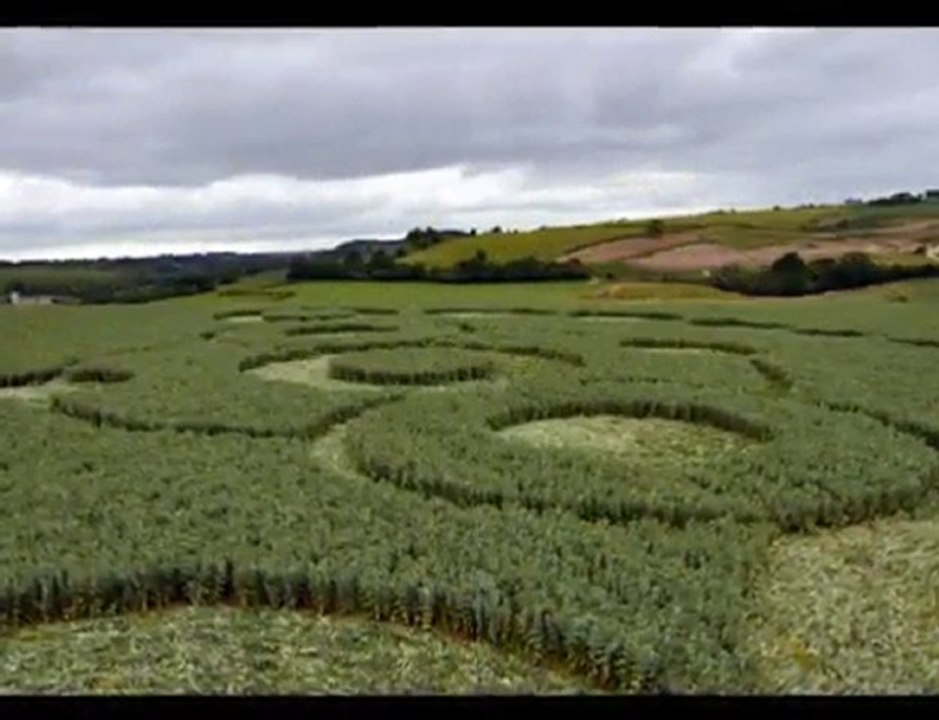 1er Crop Circle dans un champ de haricots  7 Juin 2010