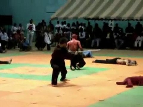 Libreville nuit des arts martiaux 2010 Compagnie Du Vent 2